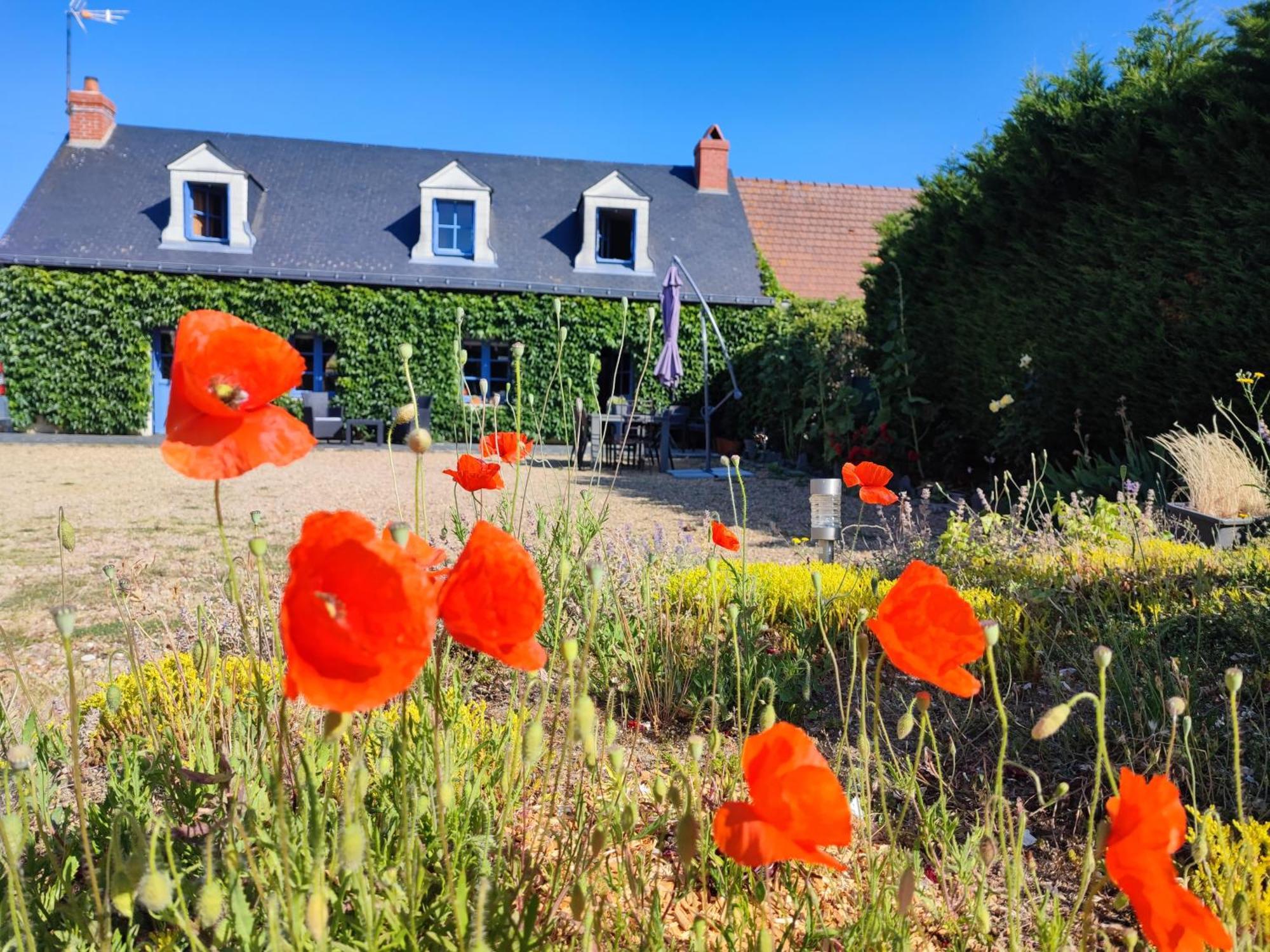 Le Clos Champetre Longué Exterior foto